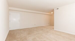 living area with carpeting at grandview village apartments in shipley terrace washington dc
