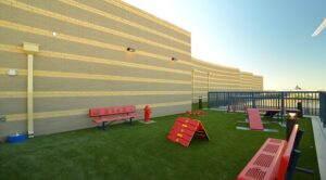 Rooftop Dog Run with agility obstacles and view of city at park chelsea at the collective apartments in capitol riverfront washington dc