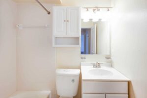 bathroom at naylor overlook apartments in se washington dc