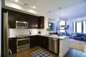 open layout of apartment showing kitchen with stainless steel appliances and living area with large windows at park chelsea at the collective apartments in capitol riverfront washington dc