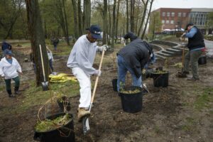 People are planting small trees and shrubs in an outdoor area near some DC apartments. Some individuals are digging holes, while others are positioning plants. The area is surrounded by trees, and a building is visible in the background. | DC Apartments by WC Smith