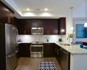 kitchen with stainless steel appliances, breakfast bar and modern lighting at park chelsea at the collective apartments in capitol riverfront washington dc