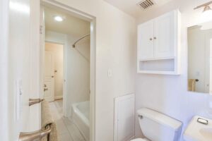 bathroom with tub, vanity, toilet, medicine cabinet and large mirror at clarence house apartments in washington dc