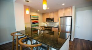 Modern kitchen with granite countertops, wooden cabinets, stainless steel appliances, and two pendant lights. Abstract artwork on the wall. | DC Apartments by WC Smith