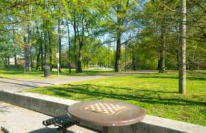 Deanwood-Nanie-Helen-Burroughs-NE-DC-Chess-Checkers-Bench