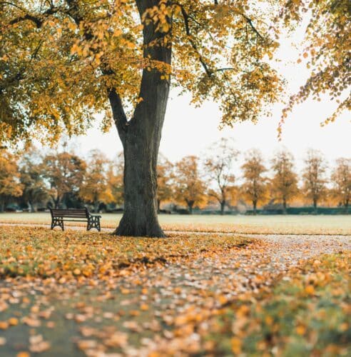 a park that looks just like fort totten park in washington dc