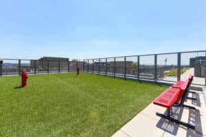 rooftop dog park at agora apartments in washington dc