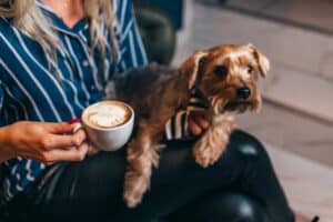 woman having coffee with her dog in washington dc